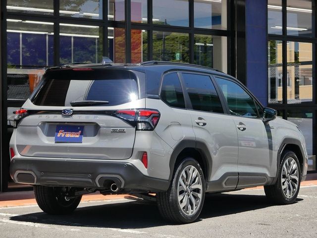 FORESTER