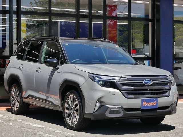 FORESTER