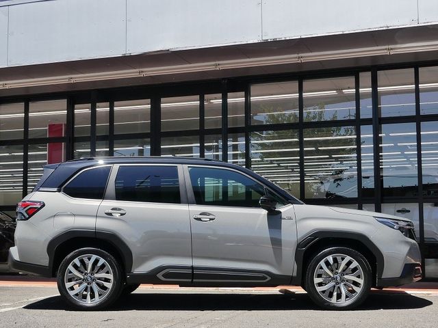 FORESTER