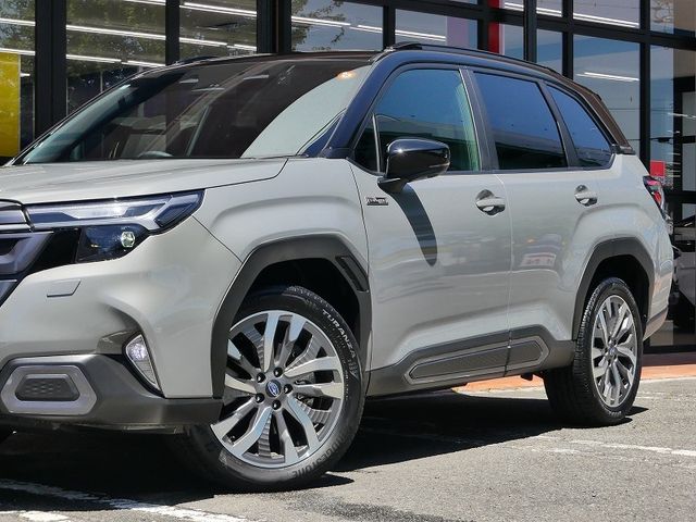 FORESTER