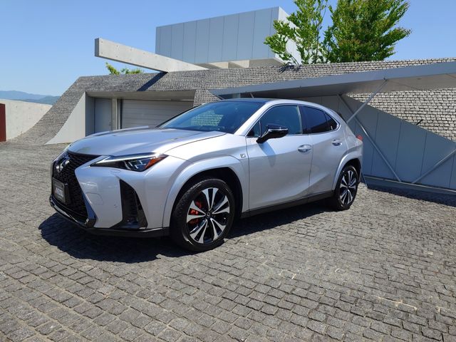 LEXUS UX250h