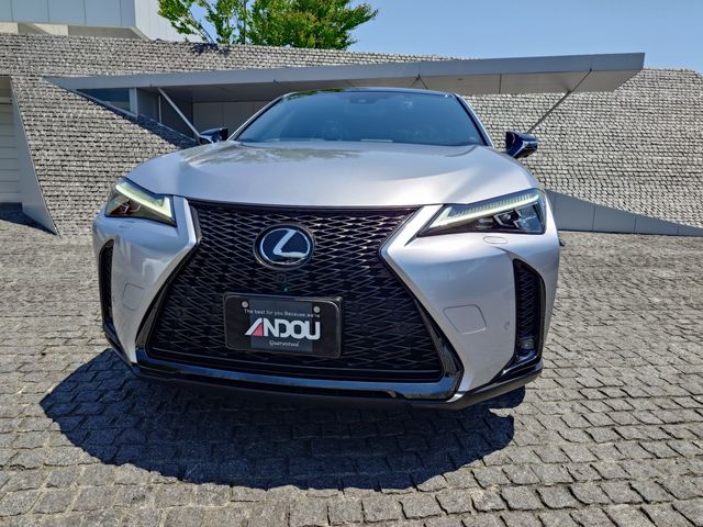 LEXUS UX250h