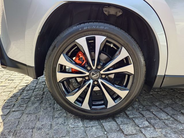 LEXUS UX250h