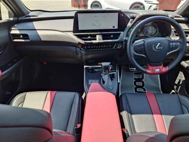 LEXUS UX250h