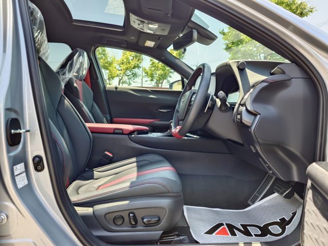 LEXUS UX250h
