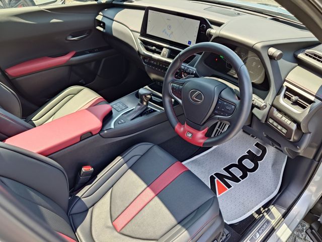 LEXUS UX250h