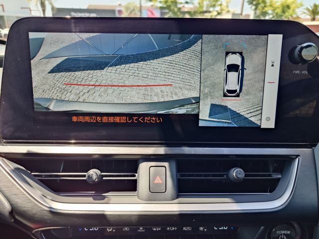 LEXUS UX250h