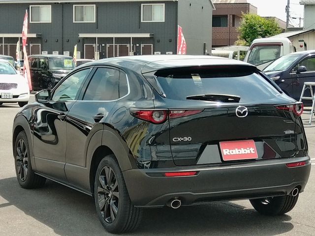 CX-30