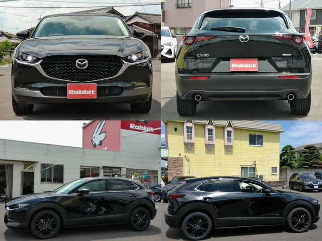 CX-30