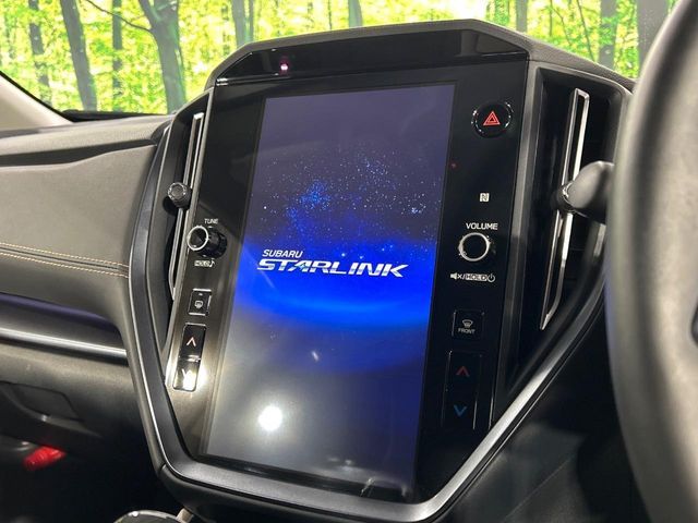 LEVORG LAYBACK