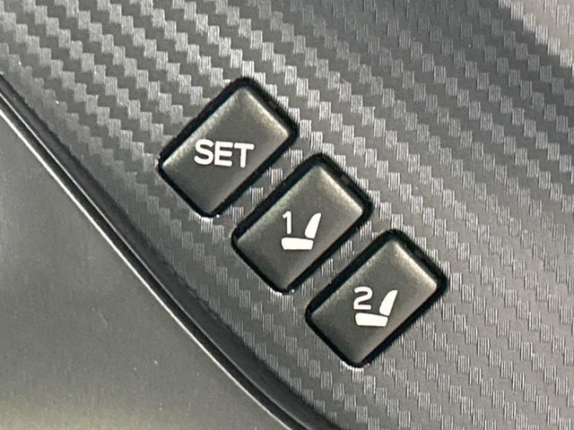 LEVORG LAYBACK