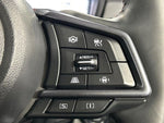LEVORG LAYBACK