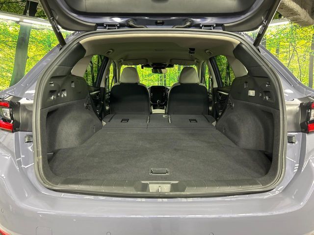 LEVORG LAYBACK