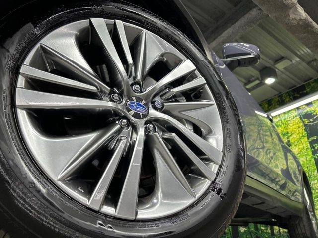 LEVORG LAYBACK