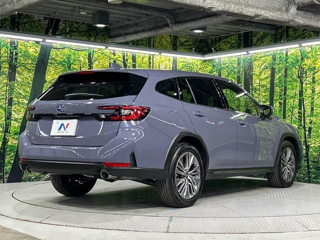 LEVORG LAYBACK