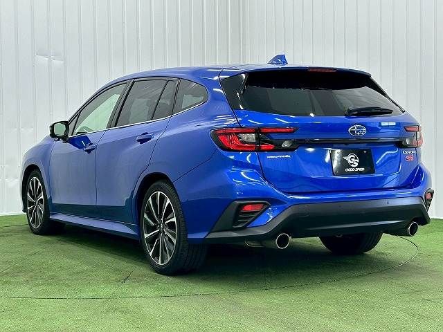 LEVORG