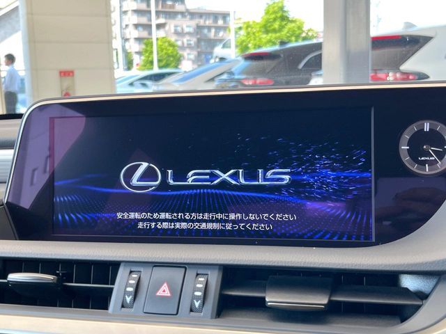 LEXUS ES300h
