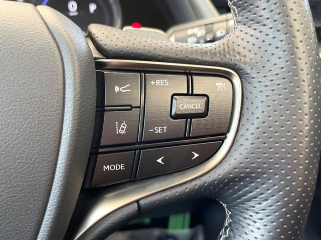 LEXUS ES300h