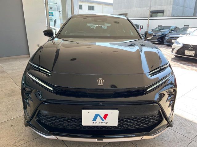 CROWN SPORT