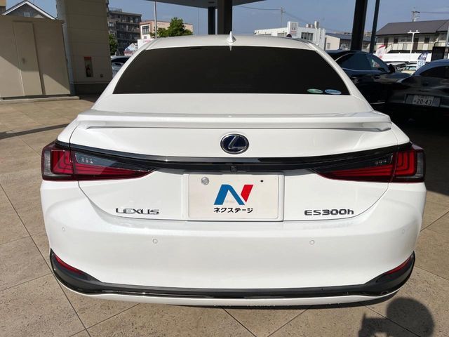 LEXUS ES300h