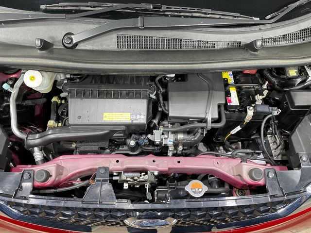 DAYZ
