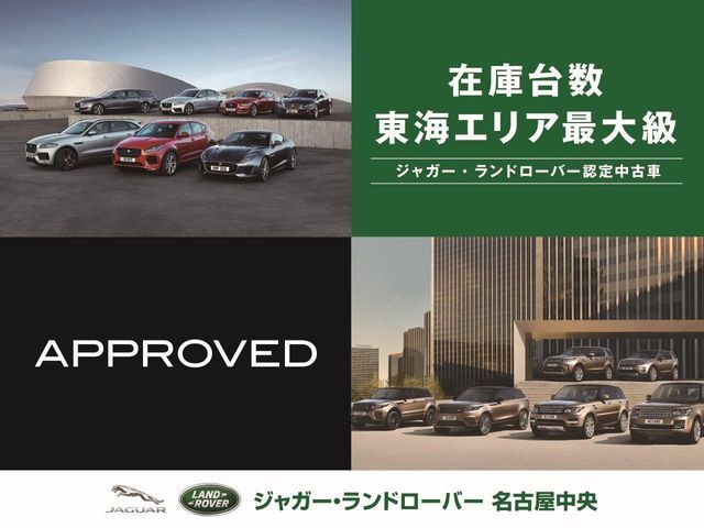 ROVER DEFENDER