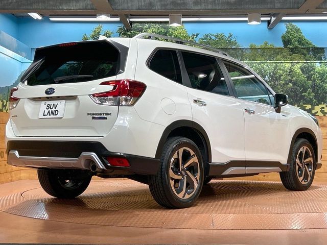 FORESTER