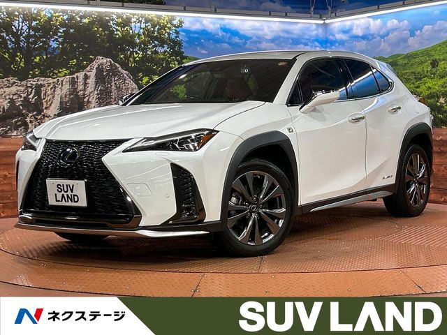 LEXUS UX250h