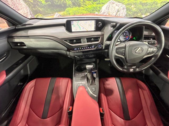 LEXUS UX250h