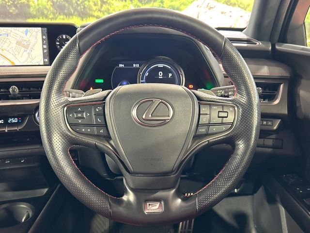 LEXUS UX250h