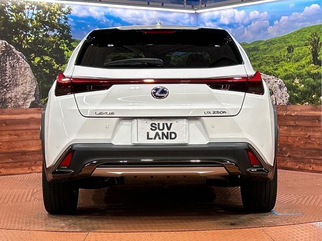 LEXUS UX250h