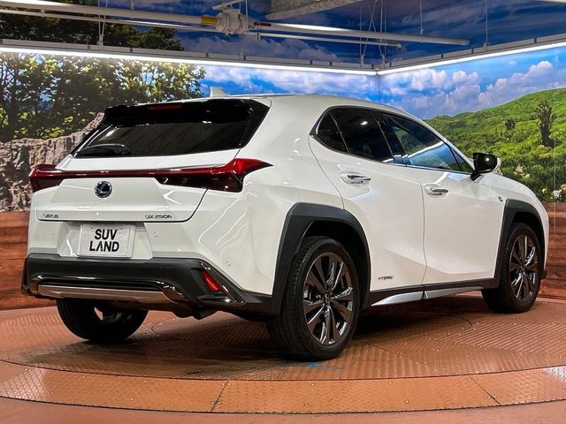 LEXUS UX250h