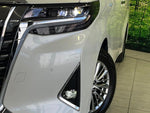 ALPHARD hybrid 4WD
