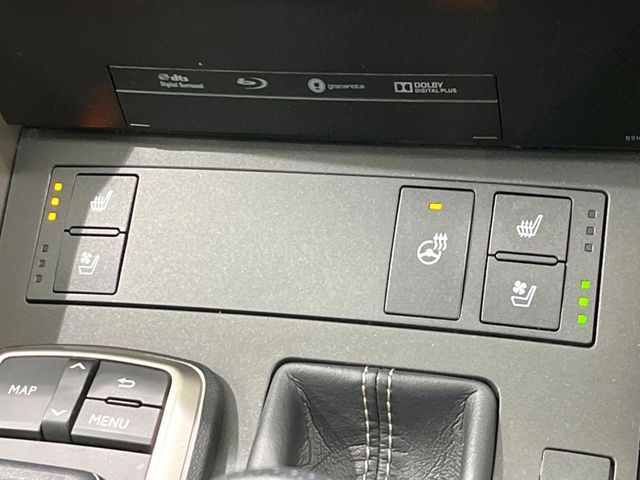LEXUS IS300h