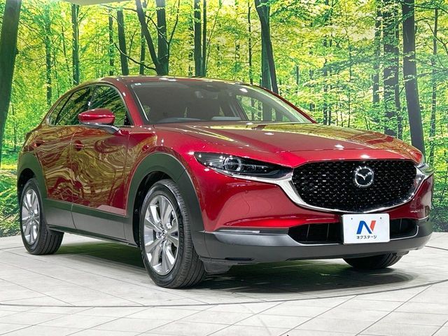 CX-30