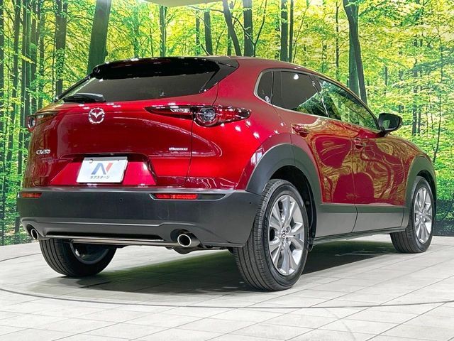CX-30