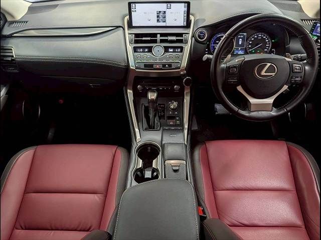 LEXUS NX300h
