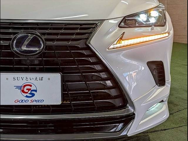 LEXUS NX300h
