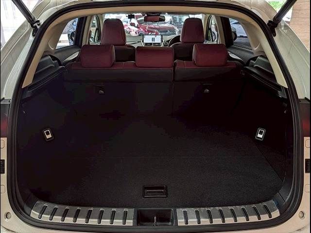 LEXUS NX300h