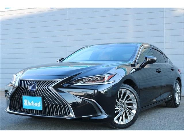 LEXUS ES300h