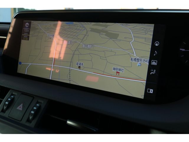 LEXUS ES300h
