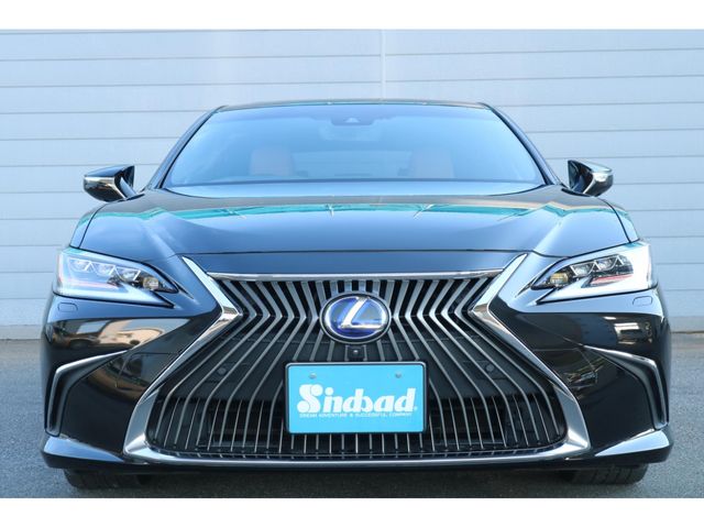 LEXUS ES300h