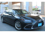 LEXUS ES300h