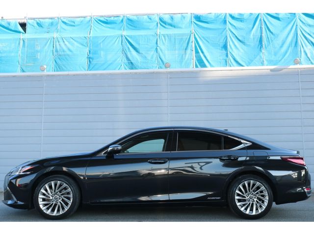 LEXUS ES300h