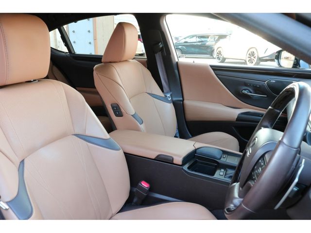 LEXUS ES300h
