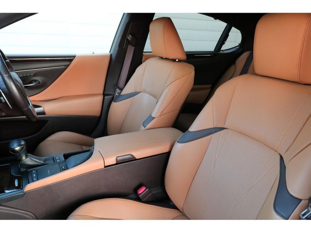 LEXUS ES300h