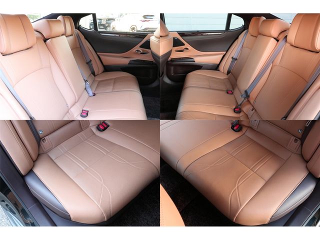 LEXUS ES300h