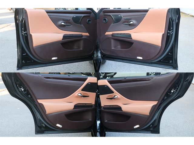 LEXUS ES300h