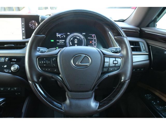 LEXUS ES300h