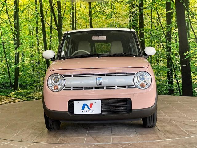 ALTO LAPIN